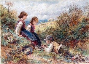 The birds nest